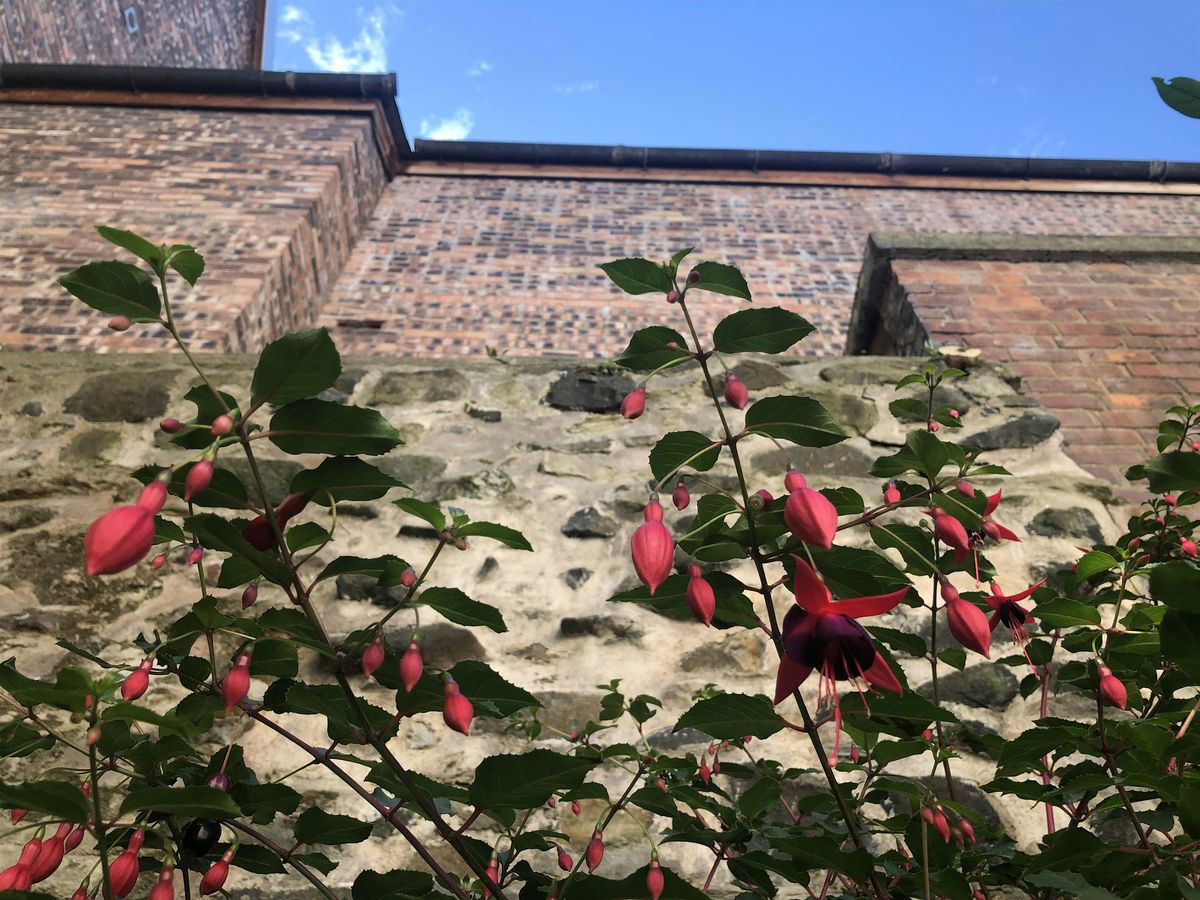 Finding Nature in the City: An Introduction to Urban Forest Bathing, 14 June | Event in Edinburgh | AllEvents