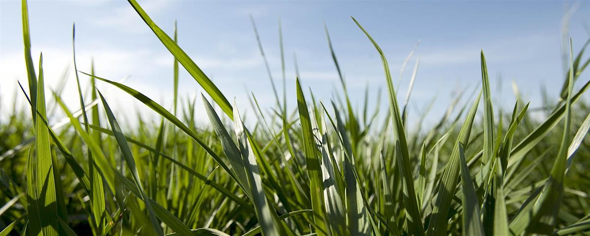 Tennessee Forage & Grassland Council Annual Meeting, 7 November | Event in Murfreesboro | AllEvents