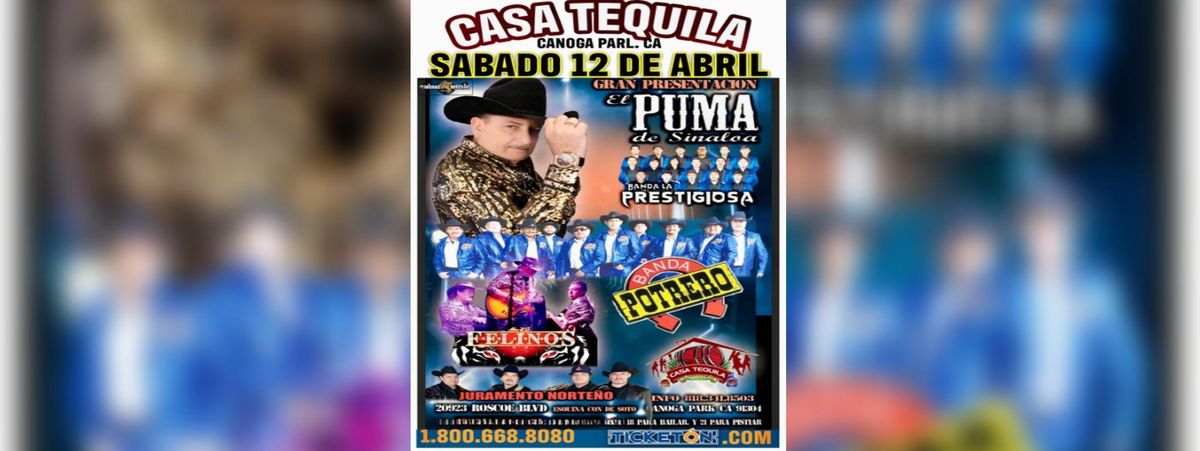 Parking Puma Blue, 28 February | Event in Saint Paul | AllEvents