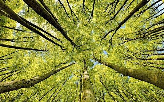 Werde der Held deines Lebens, 22 November | Event in Lübeck | AllEvents