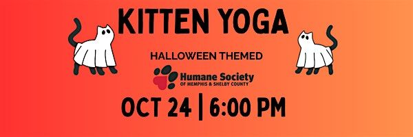 Halloween Kitten Yoga with the Humane Society!, 24 October | Event in Memphis | AllEvents
