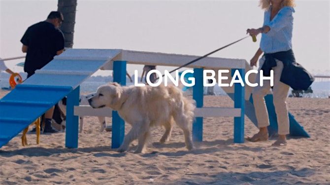 Monty's Dog  Cafe at Rosie's Dog Beach️!, 25 July | Event in Long Beach | AllEvents