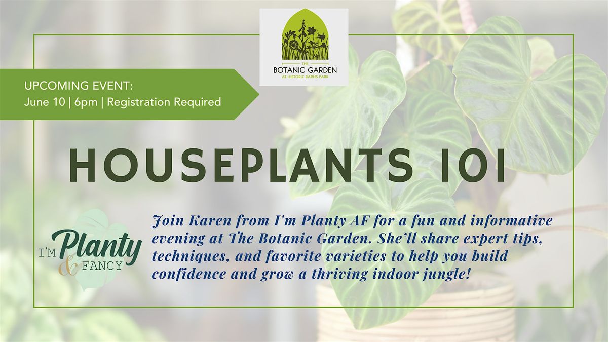 Houseplants 101: A Beginner’s Guide to Thriving Indoor Plants, 10 June | Event in Traverse City | AllEvents