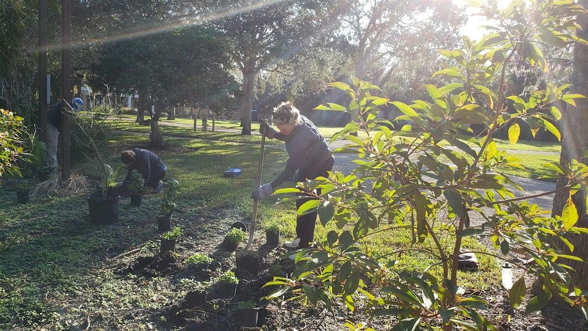 Bay Preserve at Osprey Volunteer Event and Picnic, 22 August | Event in Osprey | AllEvents