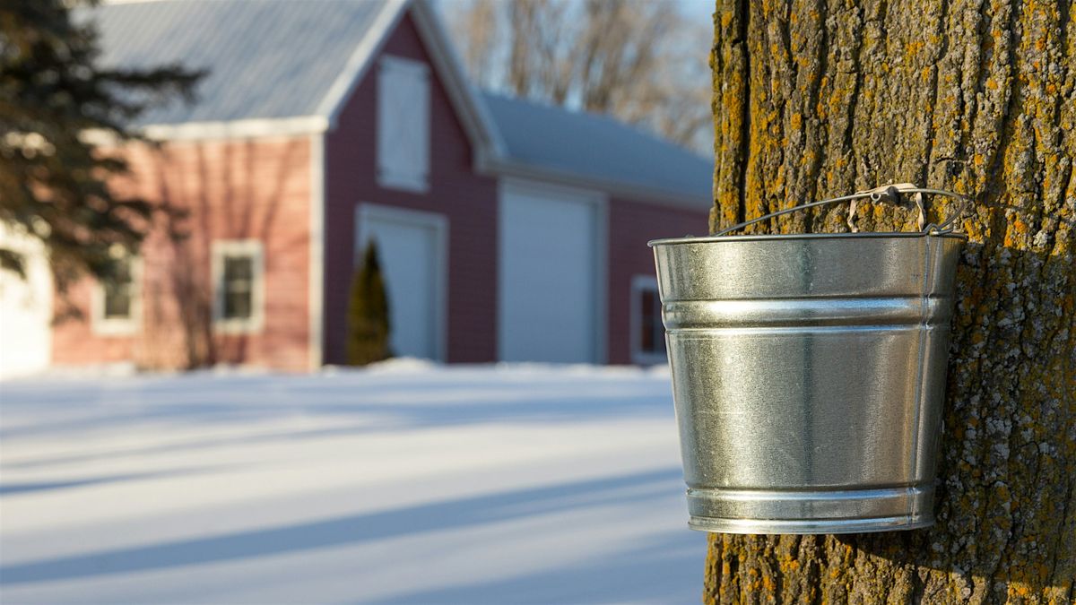 Maple Tapping, 11 December | Event in Murray | AllEvents