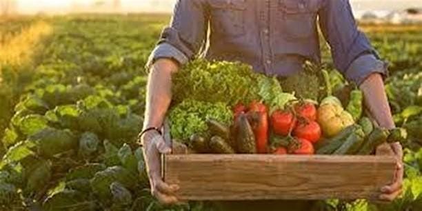 Sustainable Agriculture Series:  Sustainable Farming Segment, 25 July | Event in Charleston | AllEvents