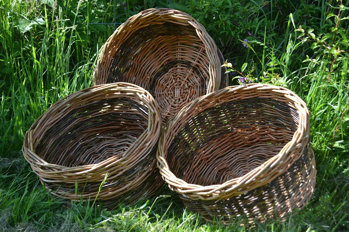 Basket weaving workshop - beginners - 1 day, 15 November | Event in Bala | AllEvents