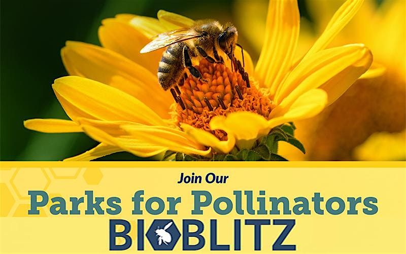 Third Annual Parks for Pollinators BioBlitz, 13 September | Event in Las Vegas | AllEvents