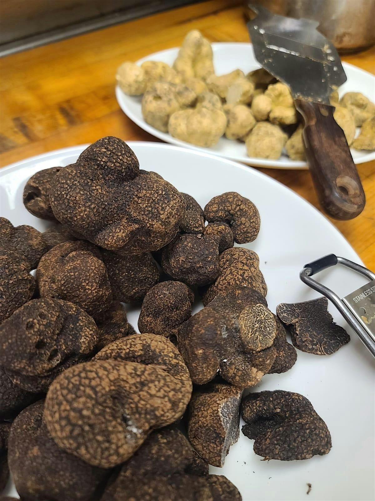 Bern's Steak House Truffle Dinner featuring the Wines of Antinori, 8 January | Event in Tampa | AllEvents