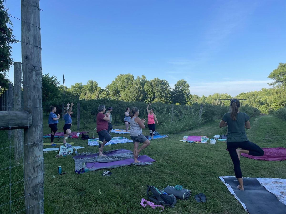 Farm YogAdventure: Berries + Yoga, 8 July | Event in Peninsula | AllEvents