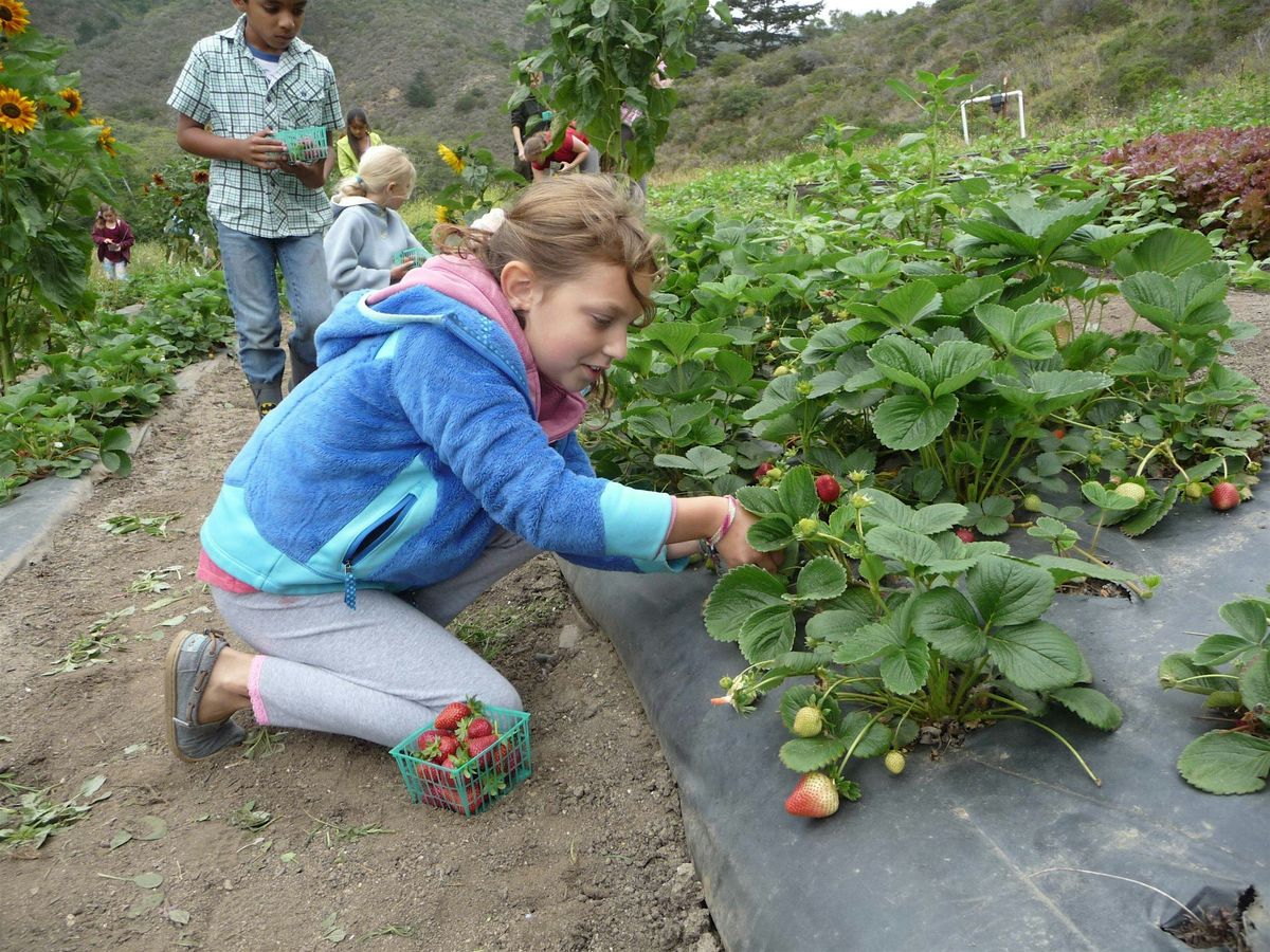 Family Farm Retreat, 14 June | Event in Half Moon Bay | AllEvents