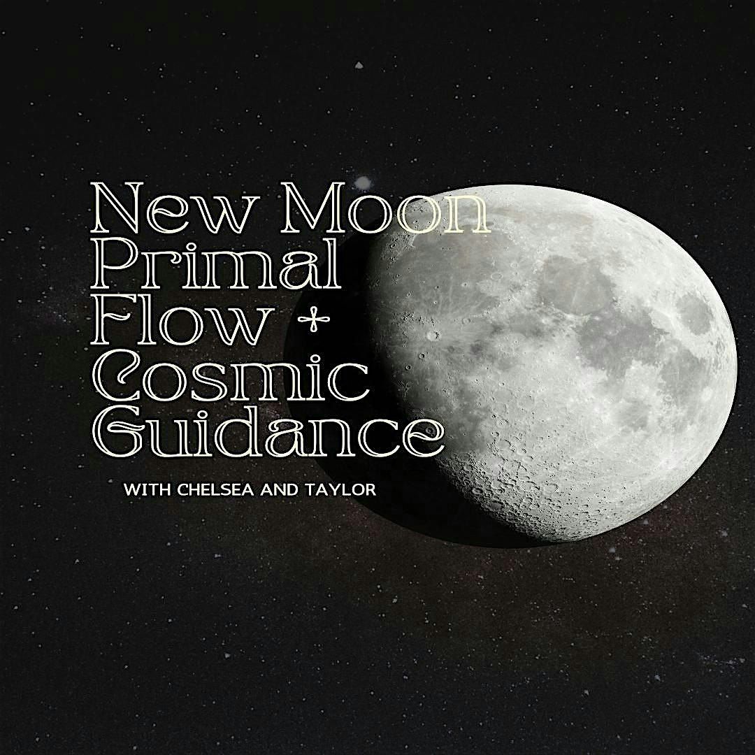 New Moon Primal Flow & Cosmic Guidance, 24 October | Event in Denver | AllEvents