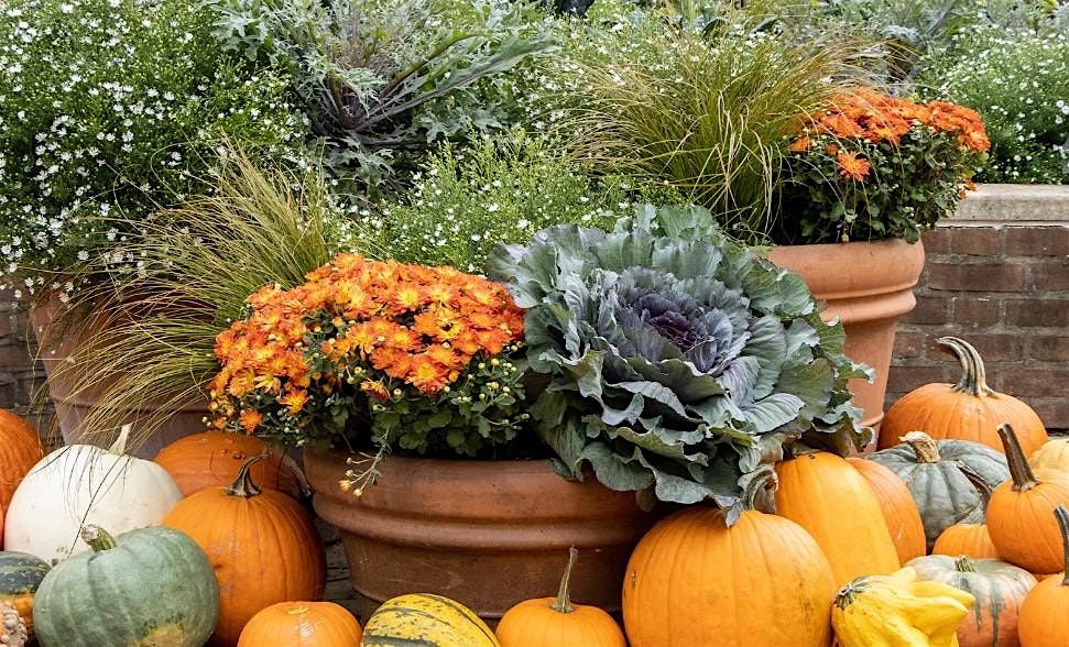 Pots of Possibilities- Plant Now, Bloom Later, 26 September | Event in Frankford | AllEvents