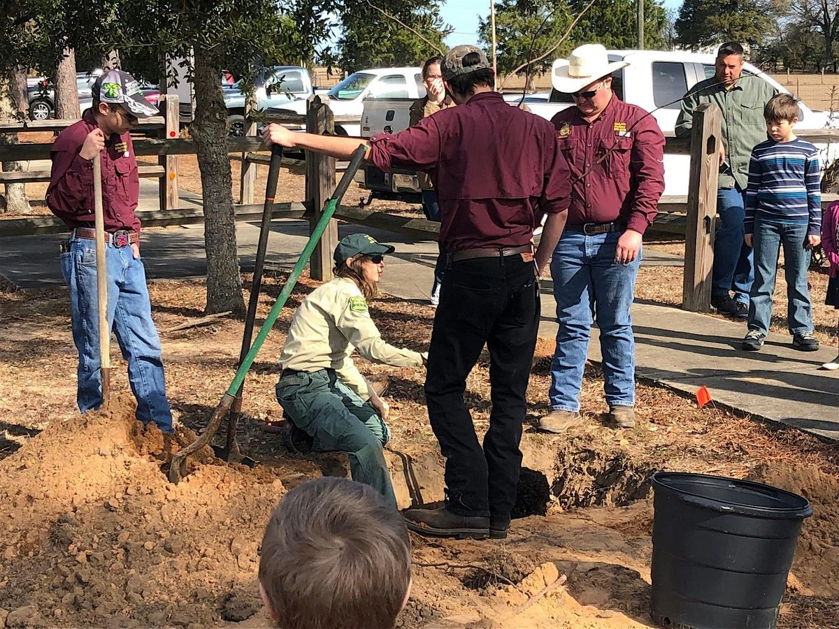 11-18-2025  Selecting and Planting Trees:  Right Plant, Right Place, 18 November | Event in New Port Richey