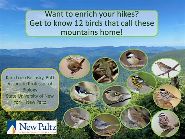 Bird Walk and Talk at the Catskills Visitor Center, 10 May | Event in Mount Tremper | AllEvents