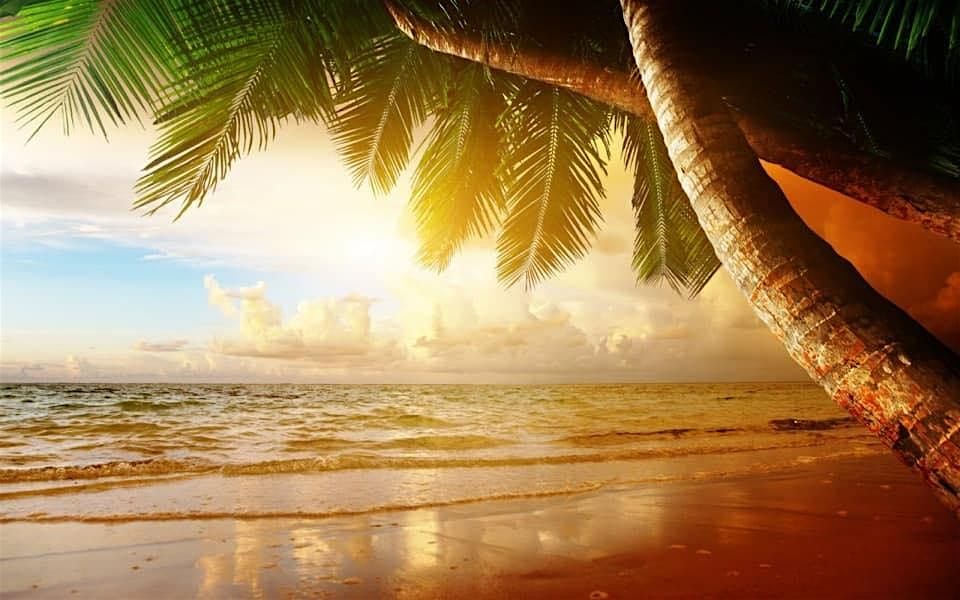 LEARN HOW TO BE A HOME-BASED TRAVEL AGENT | Event in West Columbia | AllEvents