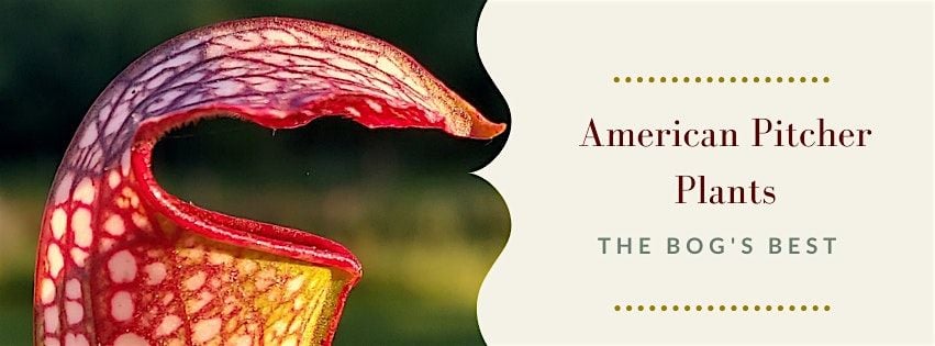 American Pitcher Plants: the Bog's Best, 25 October | Event in Washington | AllEvents