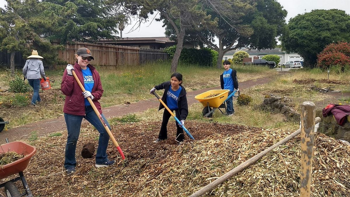 BZPMC: Community Volunteer Day |  Día del voluntariado comunitario -Seaside, 21 June | Event in Seaside | AllEvents