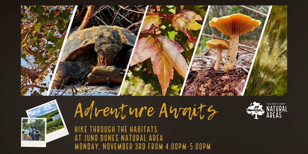 Adventure Awaits - Hike Through the Habitats @ Juno Dunes Natural Area, 3 November | Event in Juno Beach | AllEvents