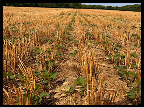 Growing the Idea of Healthy Soil, 5 December | Event in Deerfield | AllEvents