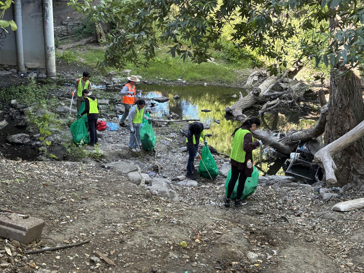 Next Stop, Cleanup!!, 3 August | Event in San Jose | AllEvents