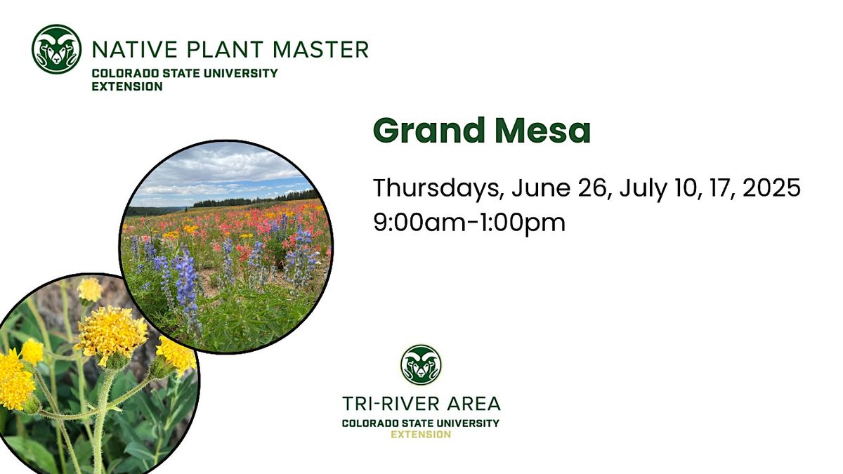 2025 Colorado Native Plant Master: Grand Mesa, 26 June | Event in Cedaredge | AllEvents