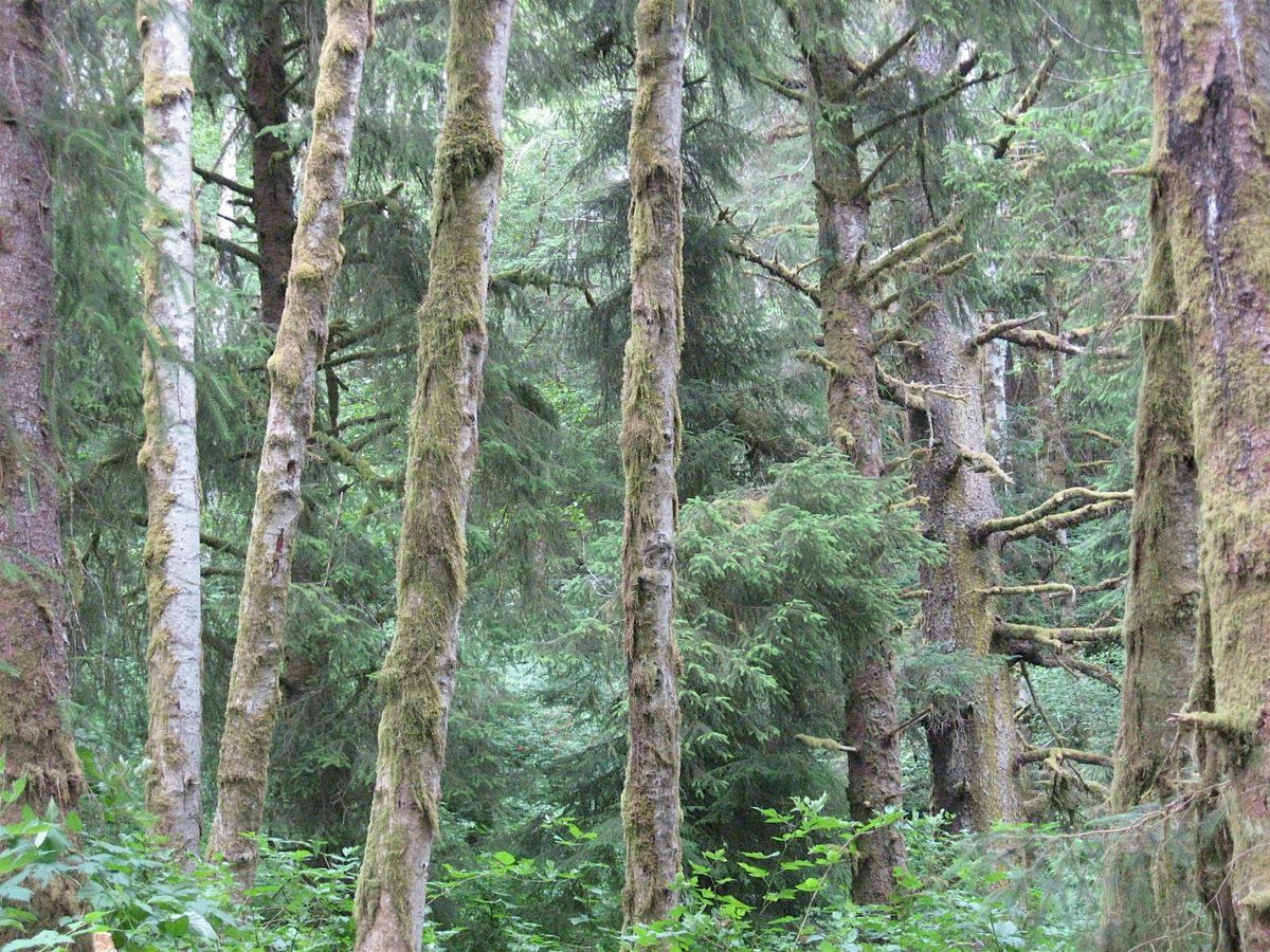 Nature Hike on Indian Point