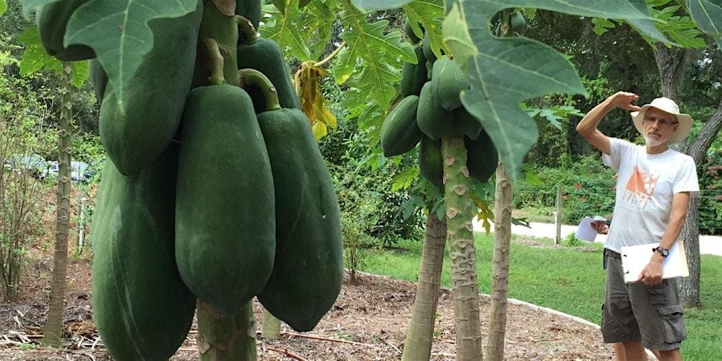 Eat Local Week 2025 Fruit Tree  Paradise  Workshop, 3 November | Event in Sarasota | AllEvents