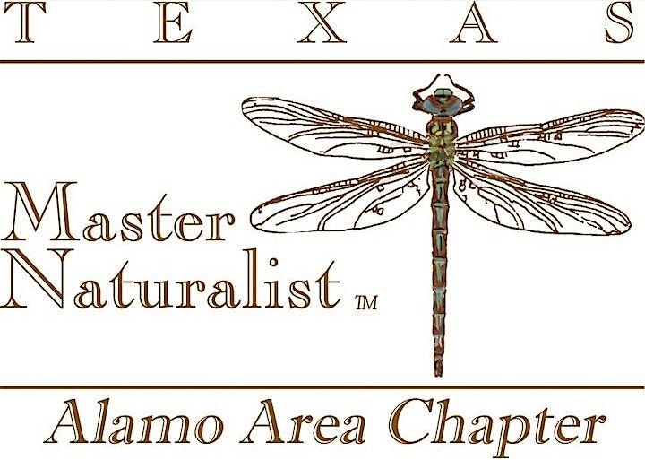 June Alamo Area Master Naturalist Board and Chapter Meeting, 10 June | Event in San Antonio | AllEvents