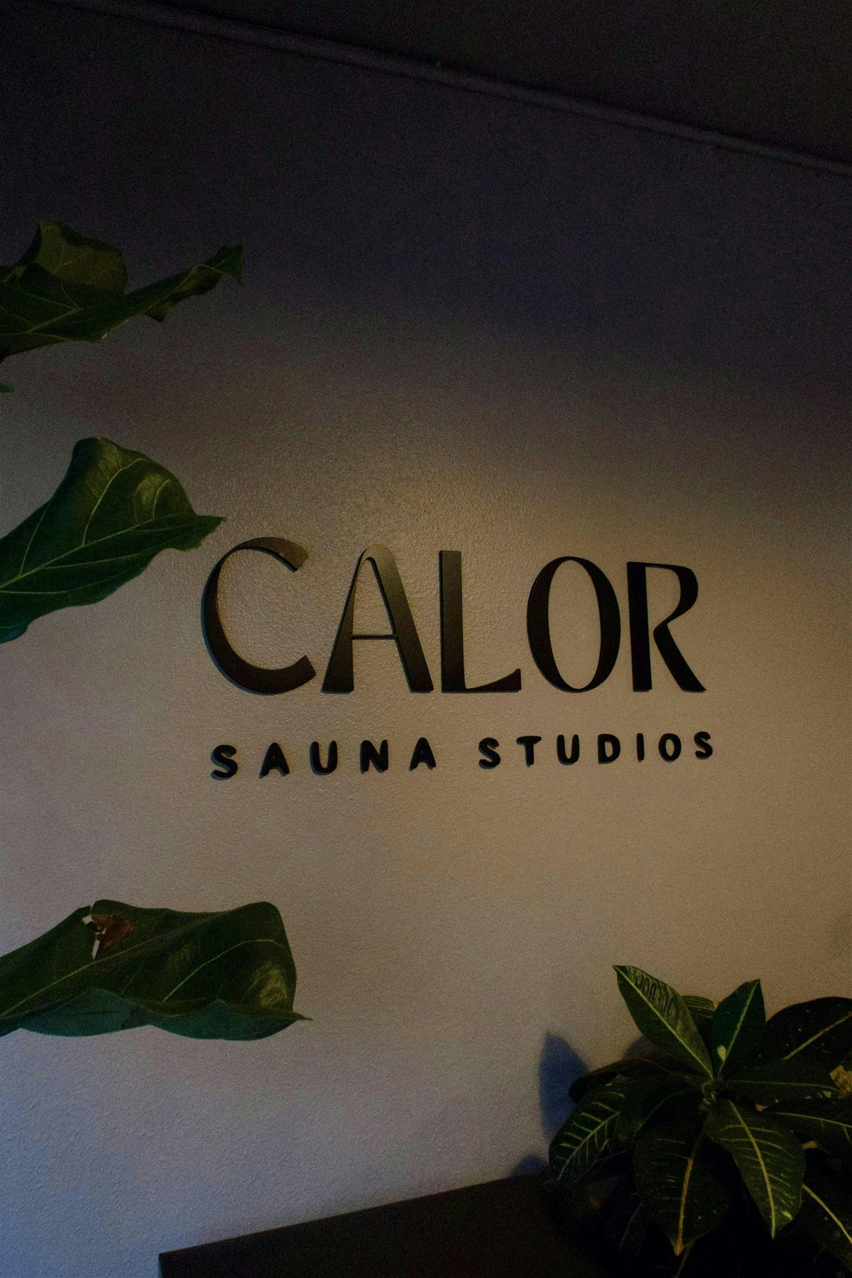 HIIT + Sauna/Cold Plunge Social, 23 August | Event in Carlsbad | AllEvents