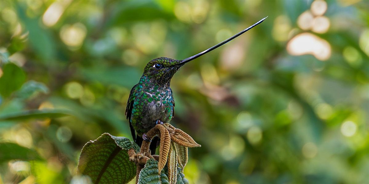 Introduction to Photography: Wildlife Edition, 8 November | Event in Lafayette Hill | AllEvents