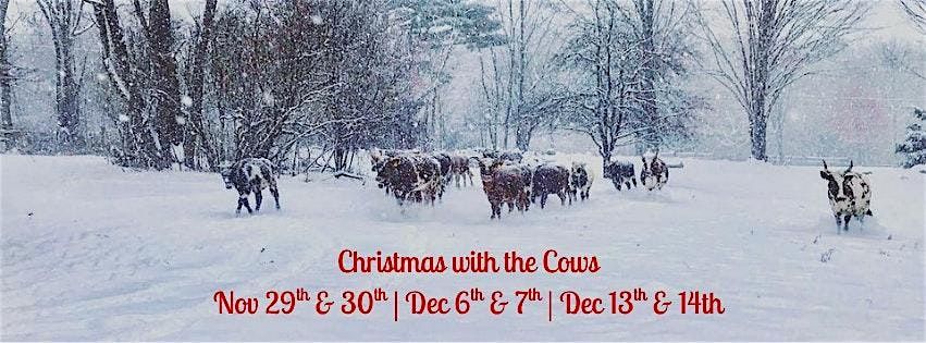 Christmas with the Cows | Event in Canterbury | AllEvents