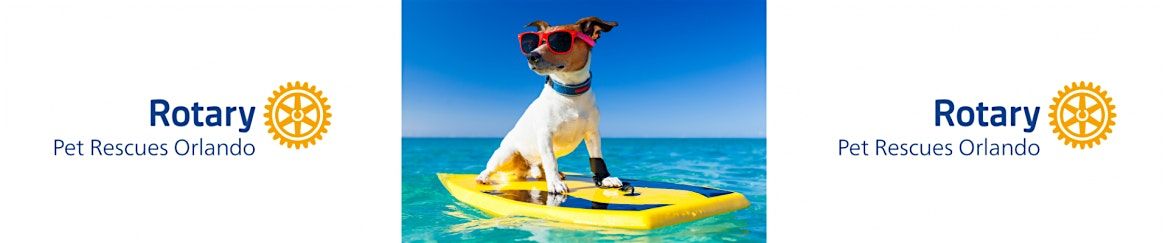 PINTS 4 PAWS, 15 November | Event in Windermere | AllEvents
