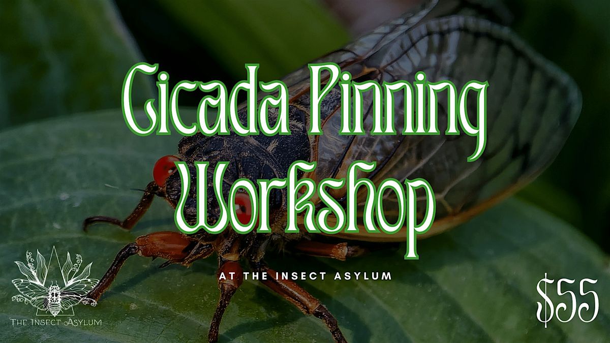 Cicada Pinning Workshop, 12 July | Event in chicago | AllEvents