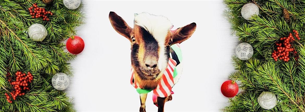Holiday Goat Yoga Las Colinas!, 22 November | Event in Irving | AllEvents
