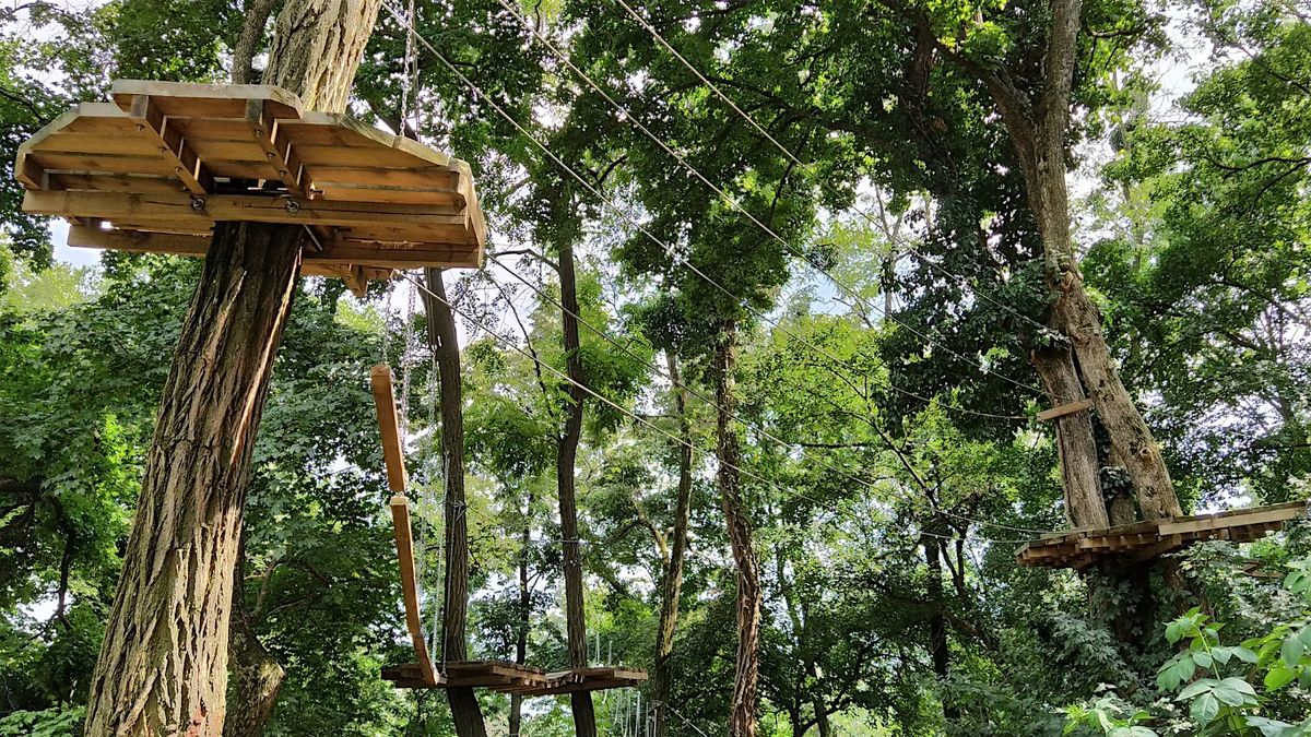 Go Ape Treetop Challenge (from Chicago), 13 November | Event in Chicago | AllEvents