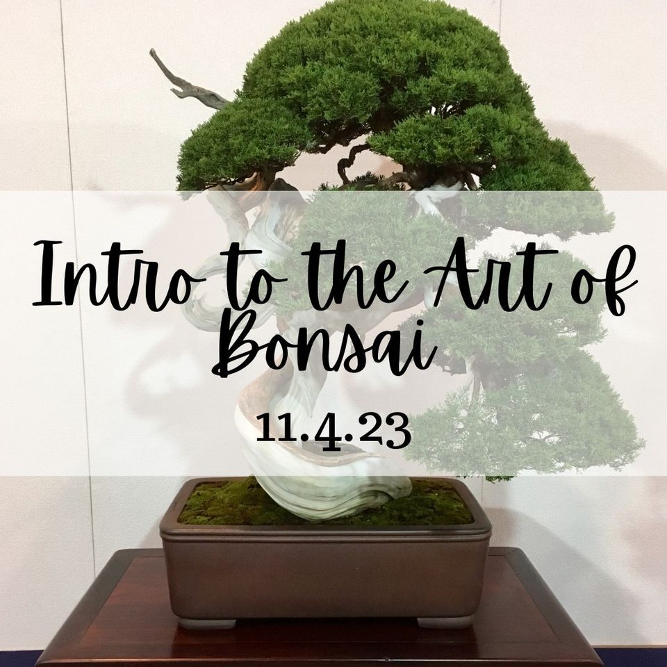 Introduction to the Art of Bonsai, For Garden's Sake, Durham, November