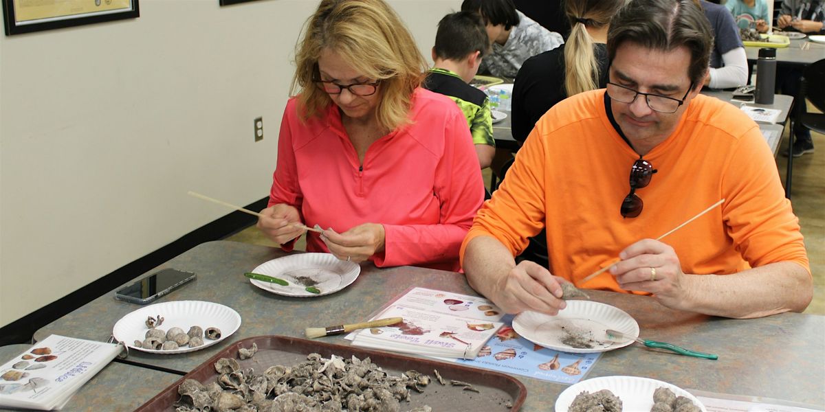 Volunteer Archaeology Lab | Event in St. Petersburg | AllEvents