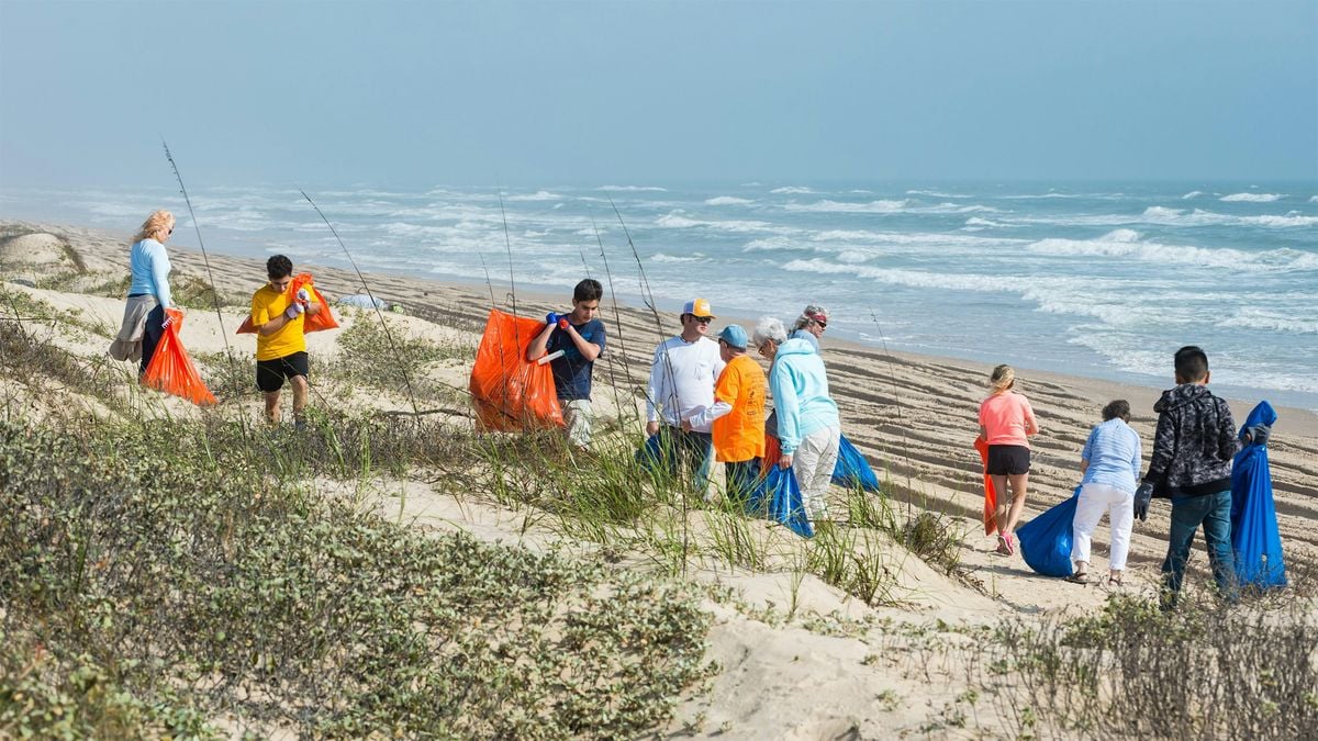Beach Cleanup, 11 October | Event in Staten Island | AllEvents