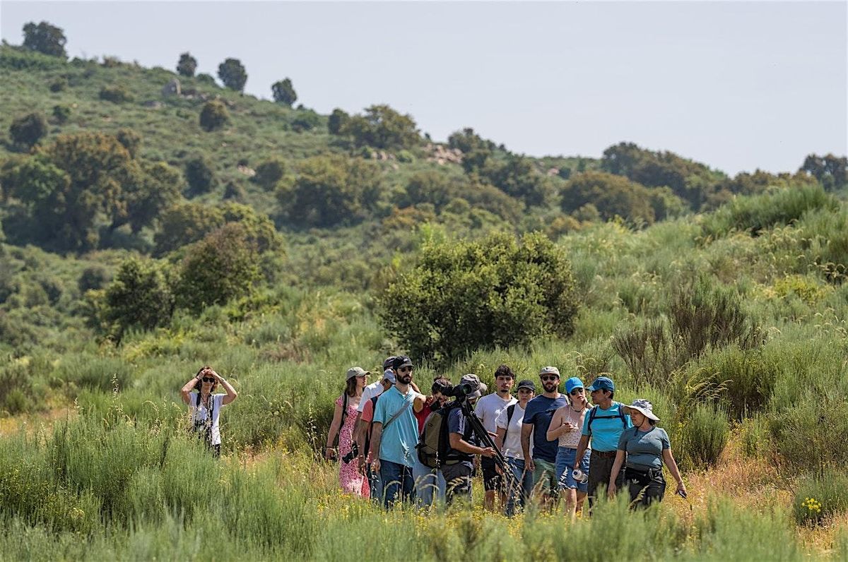 4º Rewilding Open Day, 11 July | Event in Alto do Palurdo | AllEvents
