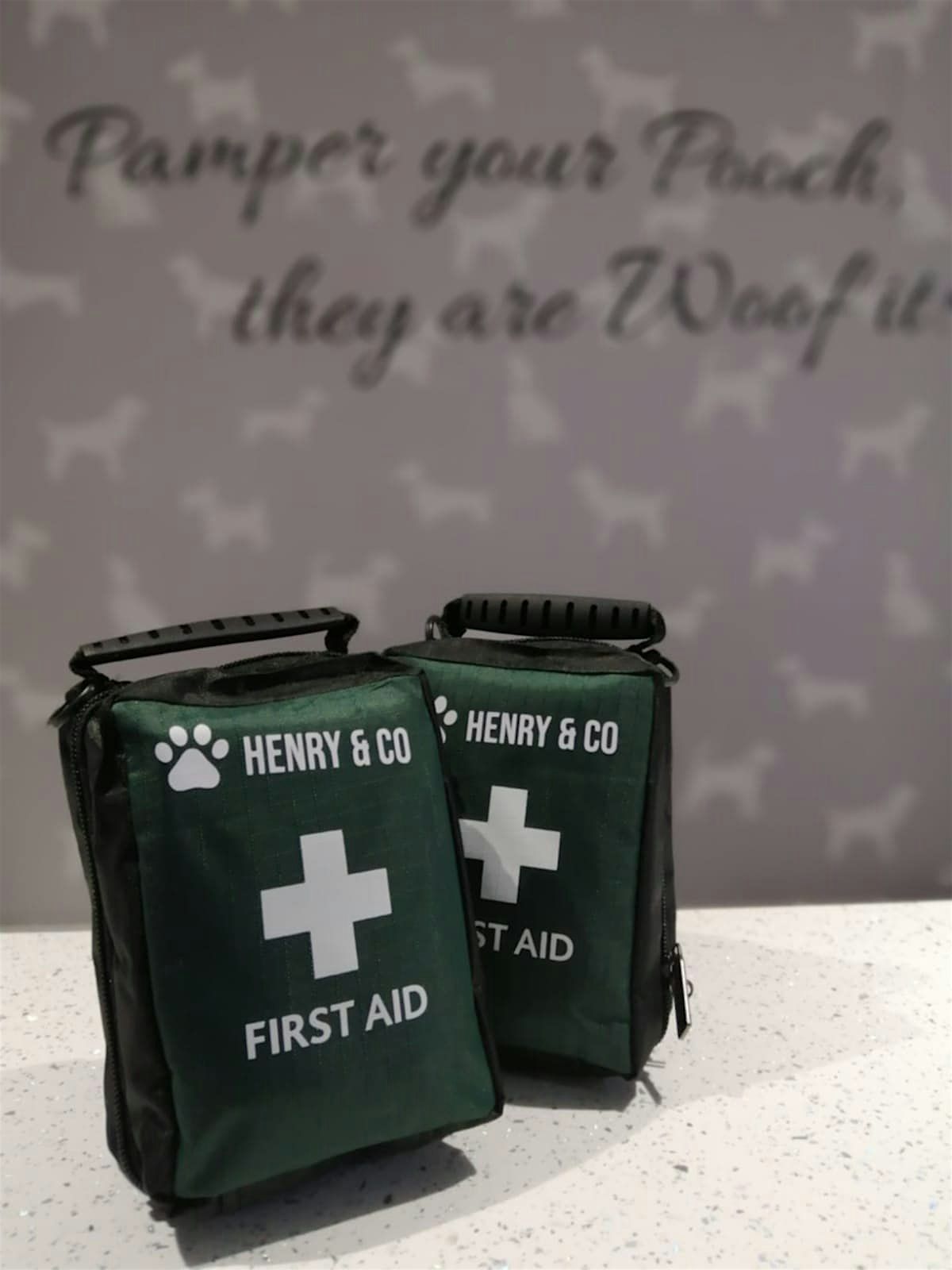 **NEW DATE **Canine First Aid Course, 19 October | Event in Perth | AllEvents