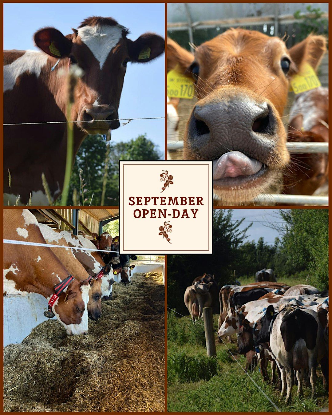 How Now - Autumn - Open Day, 21 September | Event in Totnes | AllEvents