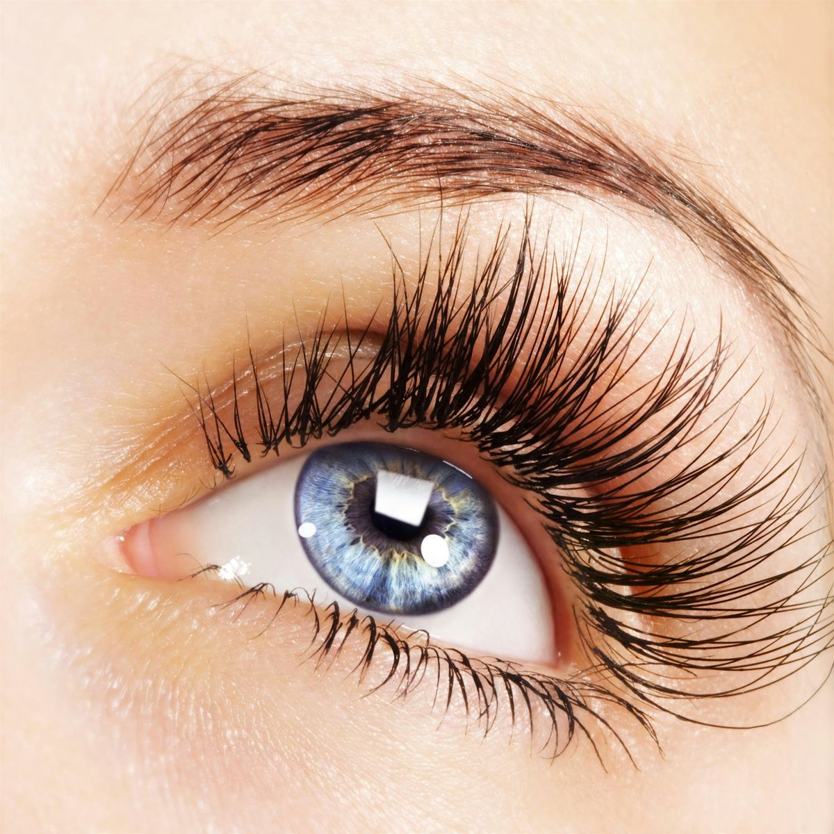 Estelle Cont. Ed.- Individual  Lash Extensions - July 28th and 29th, 2025 | Event in Skokie | AllEvents