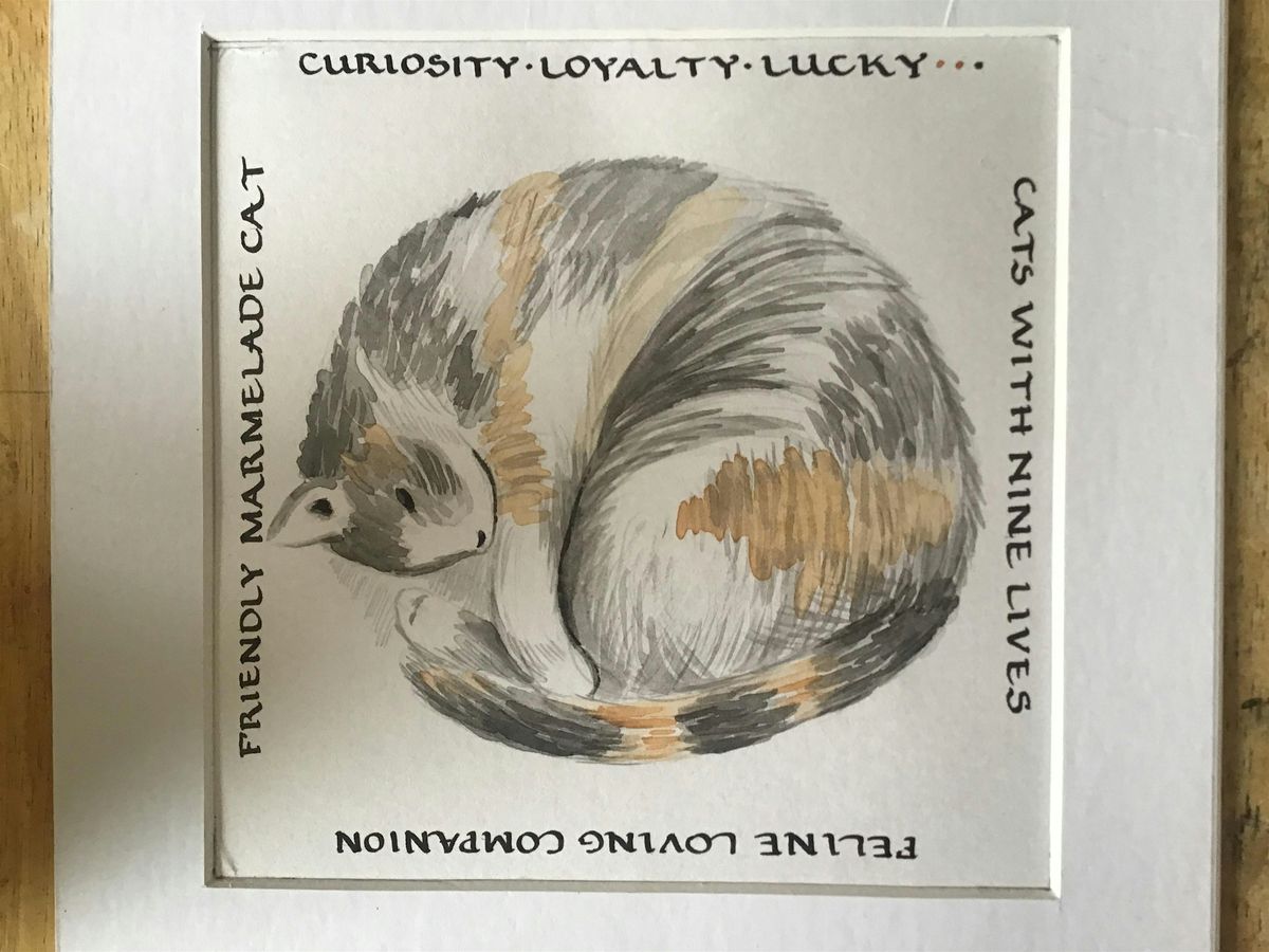 Drawing and Painting Cats, 16 January | Event in Exeter | AllEvents