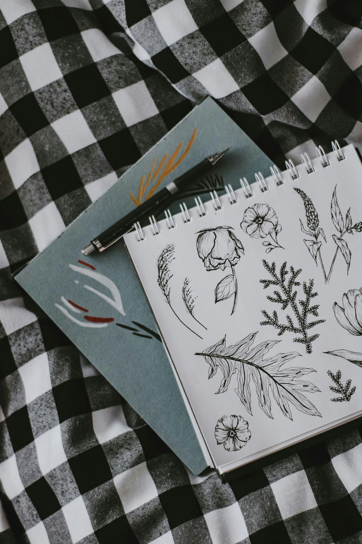 Nature Journaling with Sage Newman, 15 October | Event in Jefferson | AllEvents
