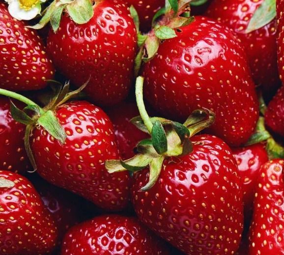 Beaver Dam Strawberry Festival, Beaver Dam, Kentucky, 26 May 2023