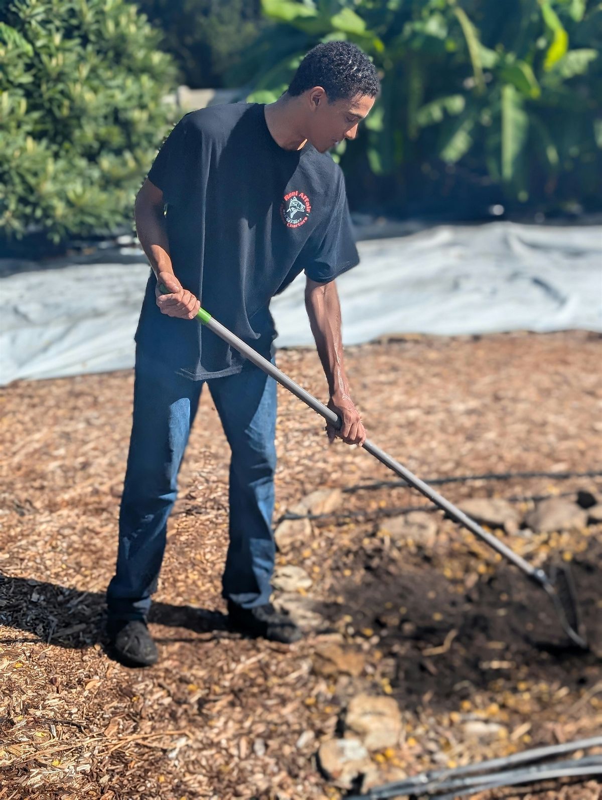 Food Forest Workday: Open to Everyone!, 10 October | Event in Tampa | AllEvents