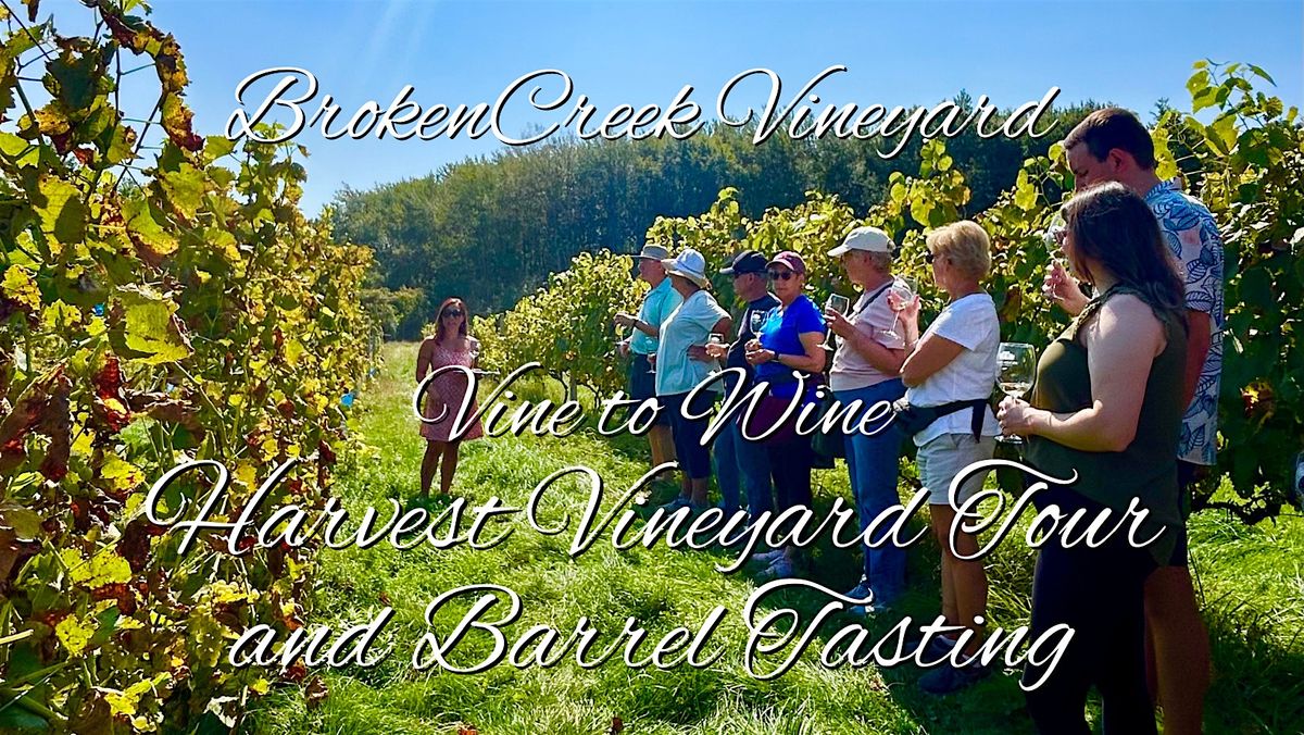 Vine to Wine Harvest Vineyard Tour/Barrel Tasting at Broken Creek Vineyard, 13 September | Event in Shrewsbury