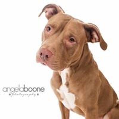 Lucky Paws Midwest