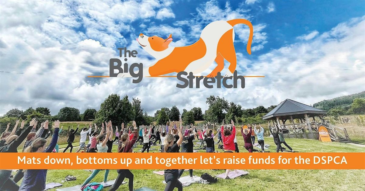 The Big Stretch at the DSPCA, August 2025, 10 August | Event in Dublin 16 | AllEvents
